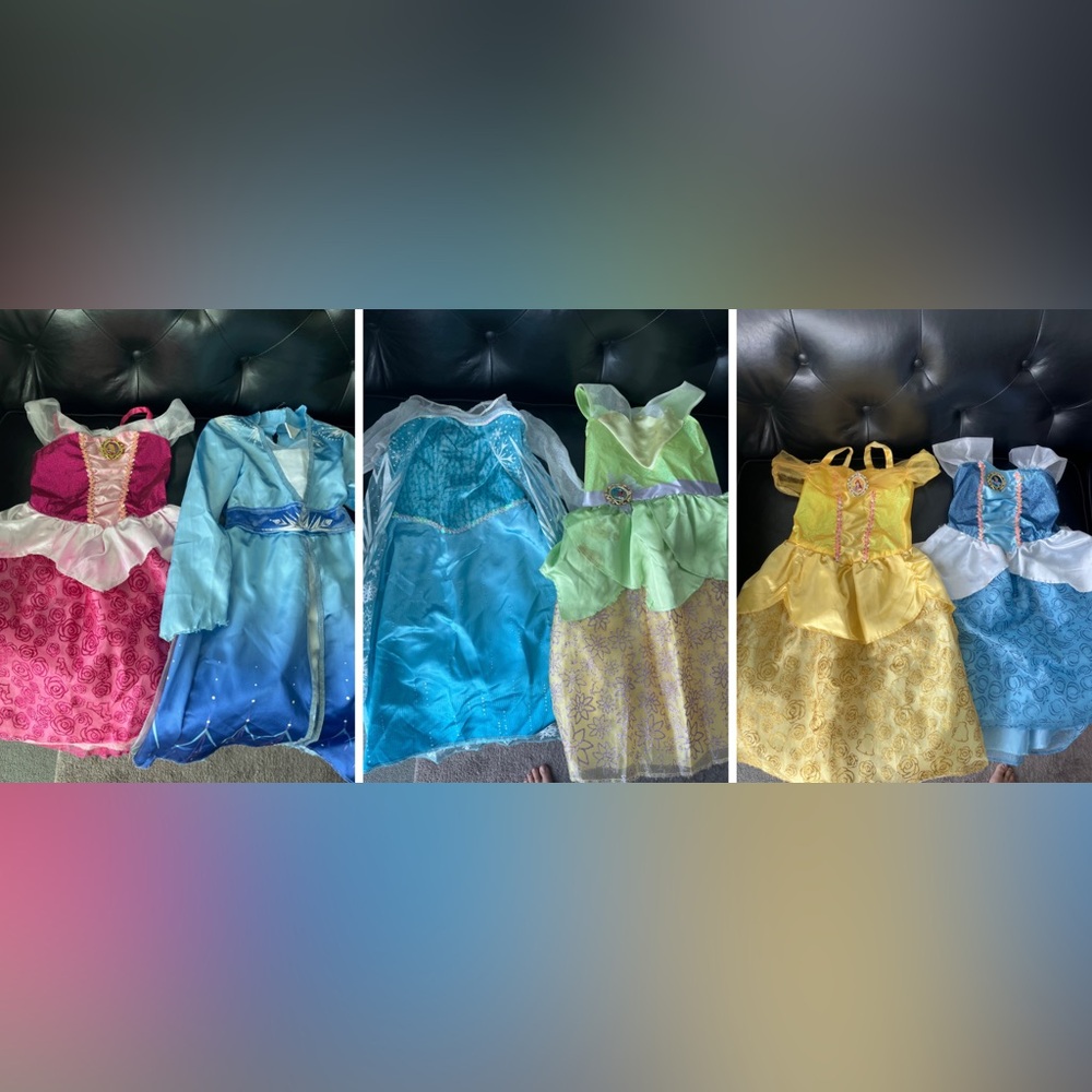 Disney Princess Costume Set of 6 dresses Elsa, Cinderella, Aurora, Belle, Tiana